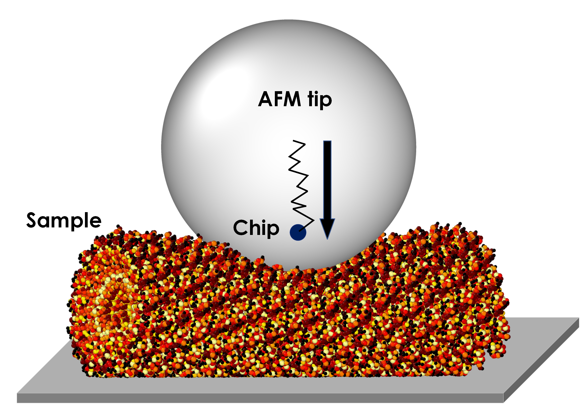 Virtual AFM